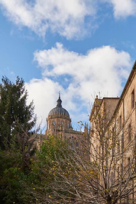 Alojamiento Centro Historico Catedral 萨拉曼卡 外观 照片